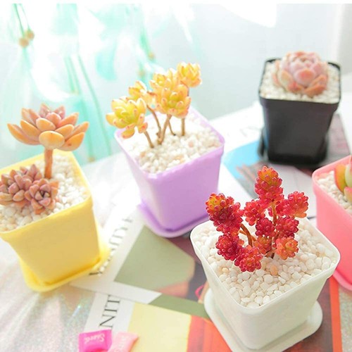 3 Inch Nursery Flower Pots 24 PACK Multi Square Plastic Plant Pots with Saucers - Picture 13 of 47