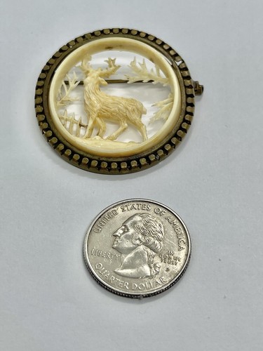 Art Deco Carved Celluloid Stag Deer in Forest Coin Edge Frame Brooch