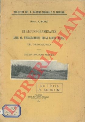 BORZI A. - Von einigen Gräsern geeignet zum Festigen von Treibsand von m