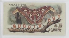 2020 Topps Allen & Ginter's Buggin' Out! Minis Atlas Moth #MBO-7 2k3