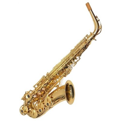 YANAGISAWA A-500 Alto Saxophone Used with Case Mouthpiece