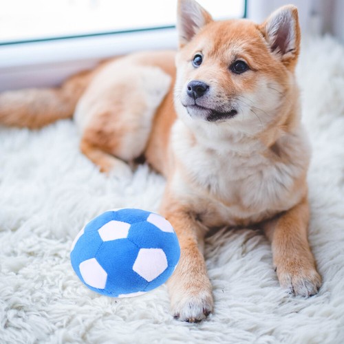 Dog Training Plush Ball Toy for Teething and Chewing Activities - 第 2/12 張圖片