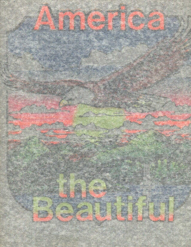 Foto 10 di 11