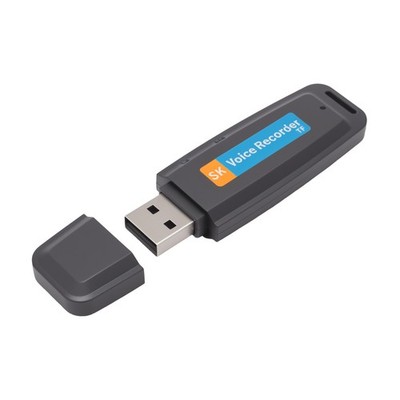 Tragbarer Wiederaufladbarer U-Disk USB Digital Audio Voice Recorder  Diktie5775