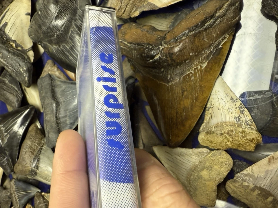 1987 SURPRISE SHINE ON DEMO AOR HARD ROCK CASSETTE GERMANY RARE - Imagem 4 de 4