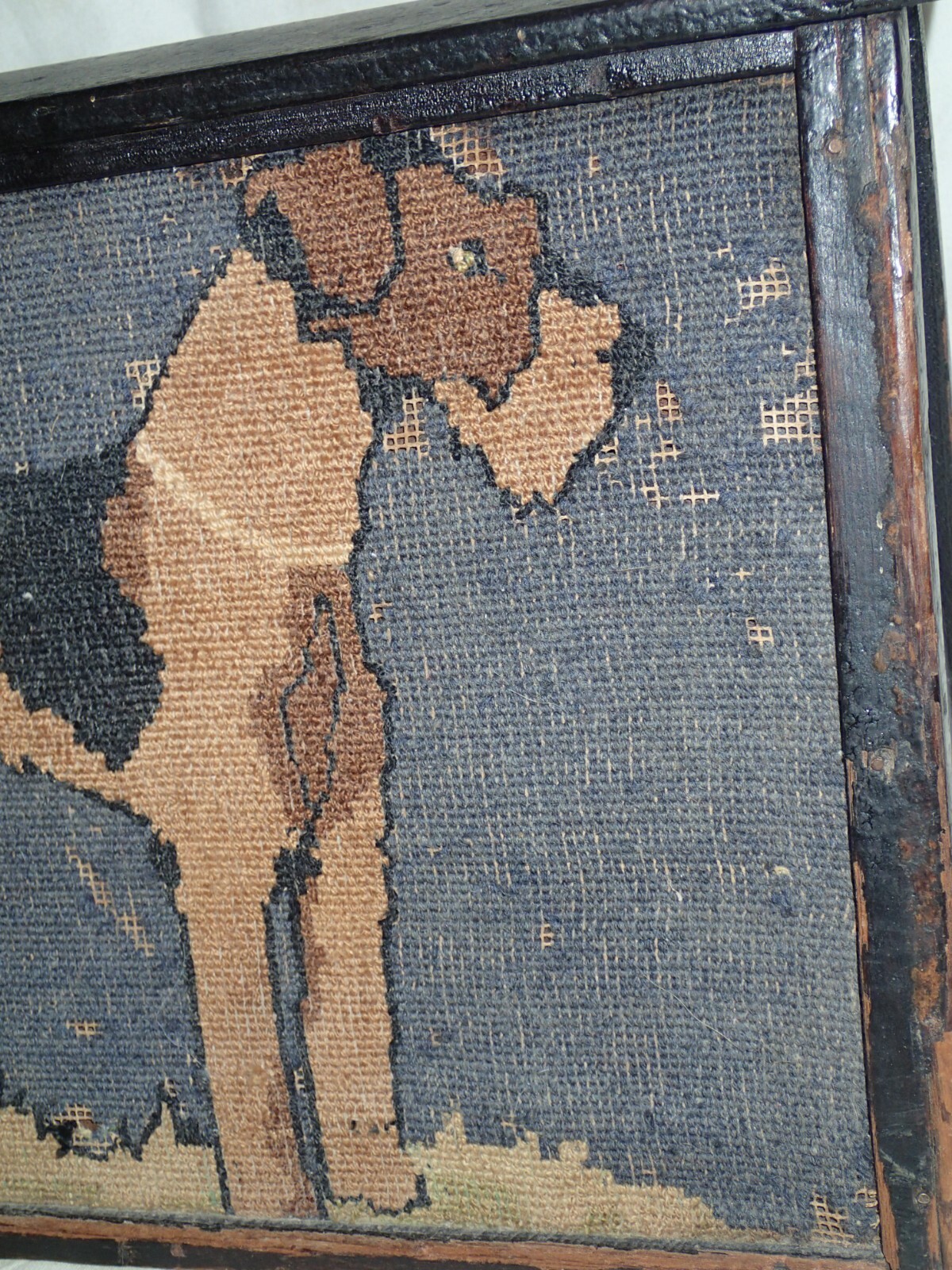 Picture 4 of 11