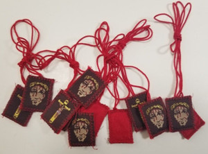 6  Precious Blood Jesus Escapulario Presiosa Sangre de Jesus