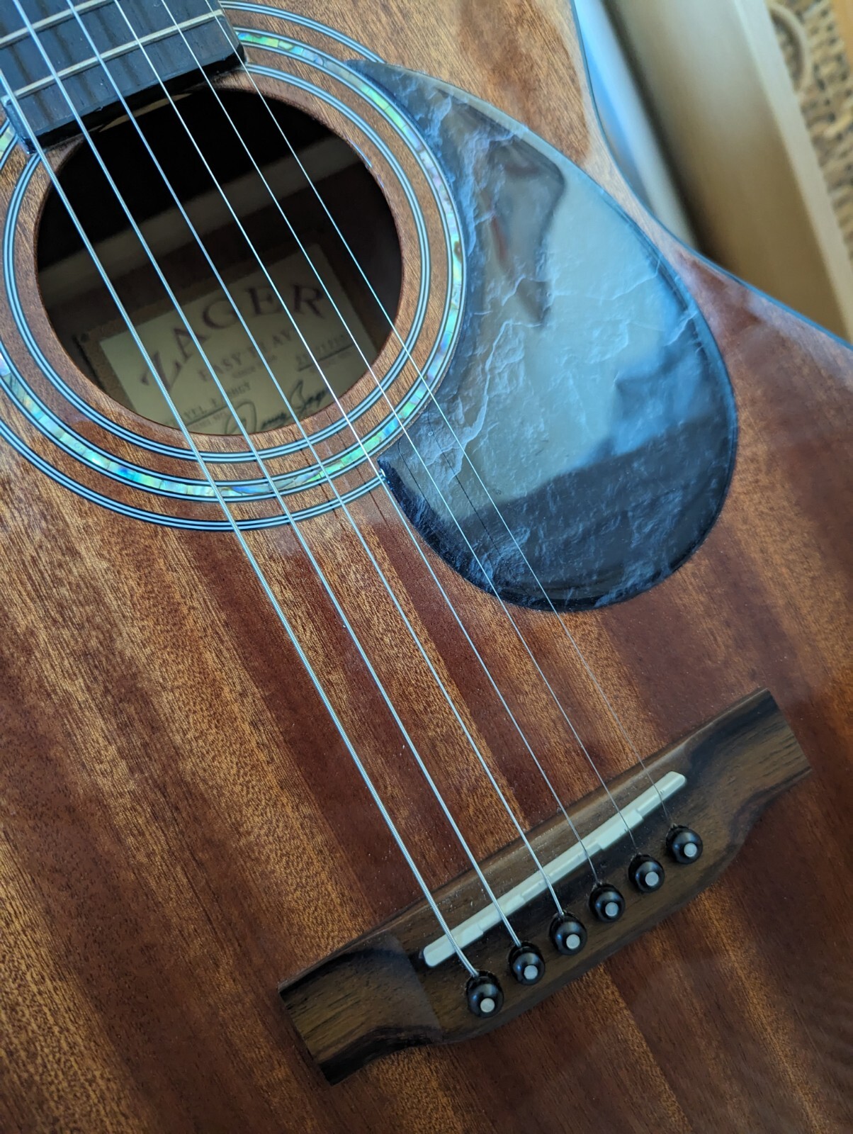 Zager Travel Size, Mahogany, Semi Acoustic Guitar (signed) & Hard Case