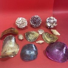 Decor in a nautical style "Ocean Beach". Lot of Shells