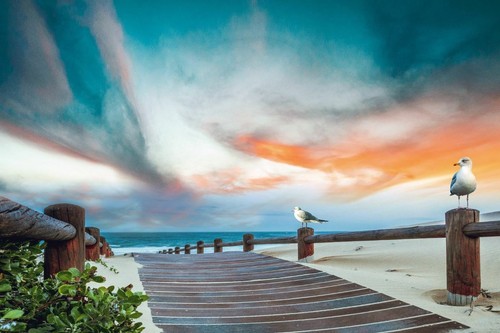 Wooden Pier on Sand Photograph Canvas Collection Home Decor Wall Print Art - Picture 2 of 2