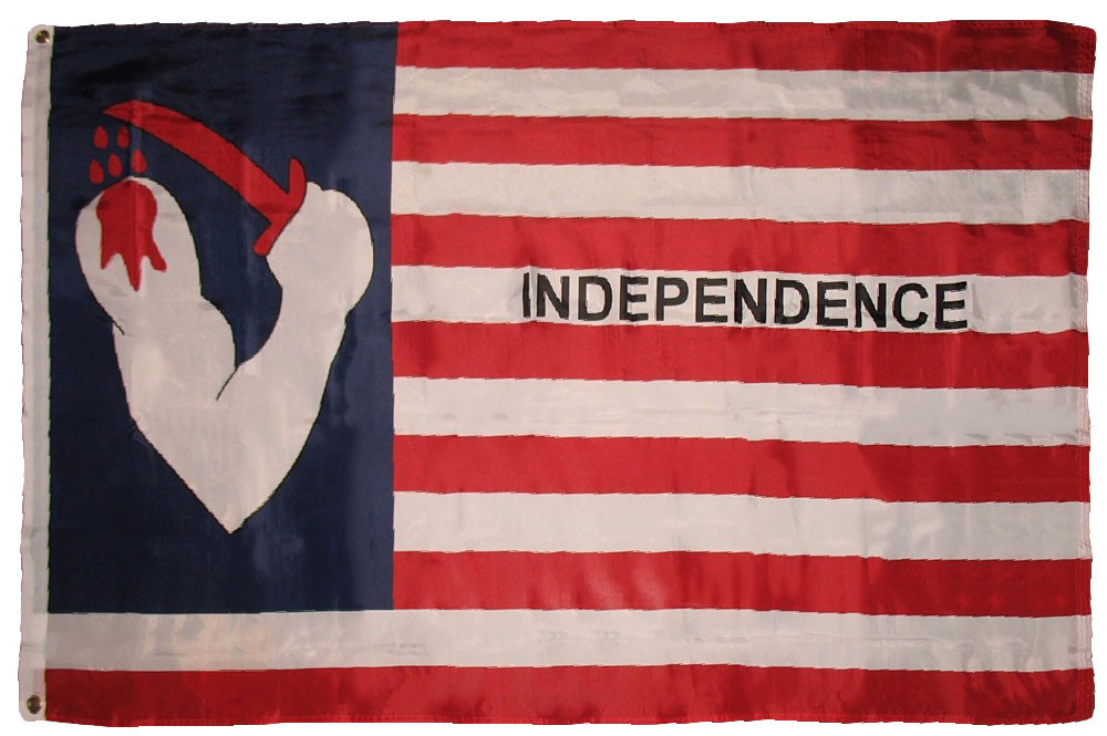 Runesol Bandiera Francia, 3x5, 91x152cm, Striscione Francese, Celebrazioni Euro, Francia Calcio - Foto 10