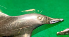 2 Brass Porpoise Dolphin Hollow Figurine Decorative Collectible Statue  5" Long — photo 8