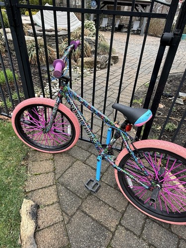 SE Bike-So Cal Flyer (peaceful)24” Inch
