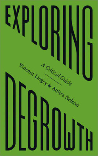 Thumbnail - Exploring Degrowth: A Critical Guide (fireworks) By Liegey, Vincent