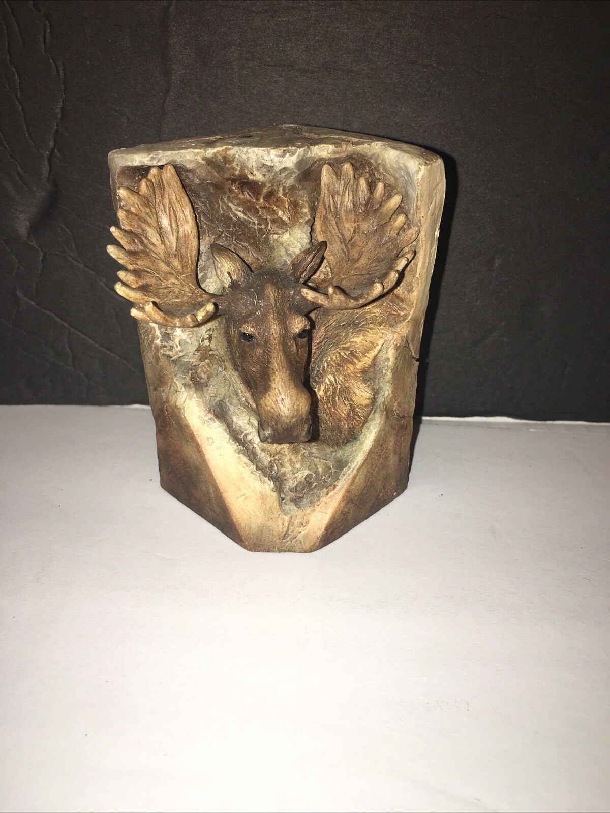 Foto 1 di 12