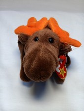 Ty Beanie Baby Chocolate the Moose
