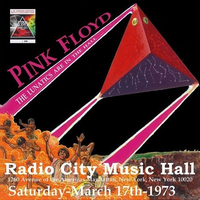 PINK FLOYD . THE LUNATICS ARE IN THE HALL 4XLP Boxset Colored New Copy 237/300