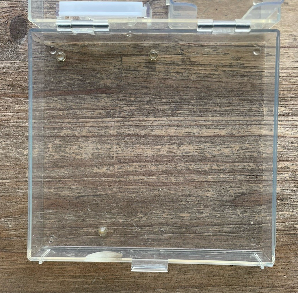 Picture 10 of 11