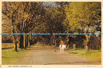 D007449 Oak Avenue. Hastings. N.Z