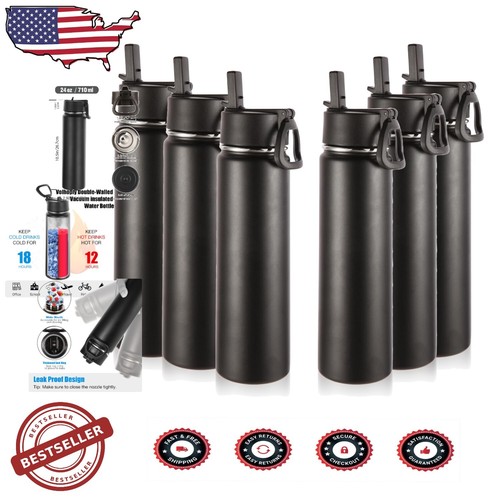 Eco-Friendly 6 Pack of 24oz Insulated Water Bottles with Straw - Black Finish
