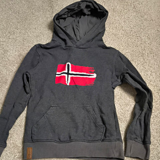 TROLLKIDS Jungen Hoodie Pullover grau Norwegen Logo Gr. 140 eher 116 oder 122)