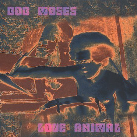 Love Animal by Bob Moses (Drums) (CD, Jun-2003, Amulet Records)