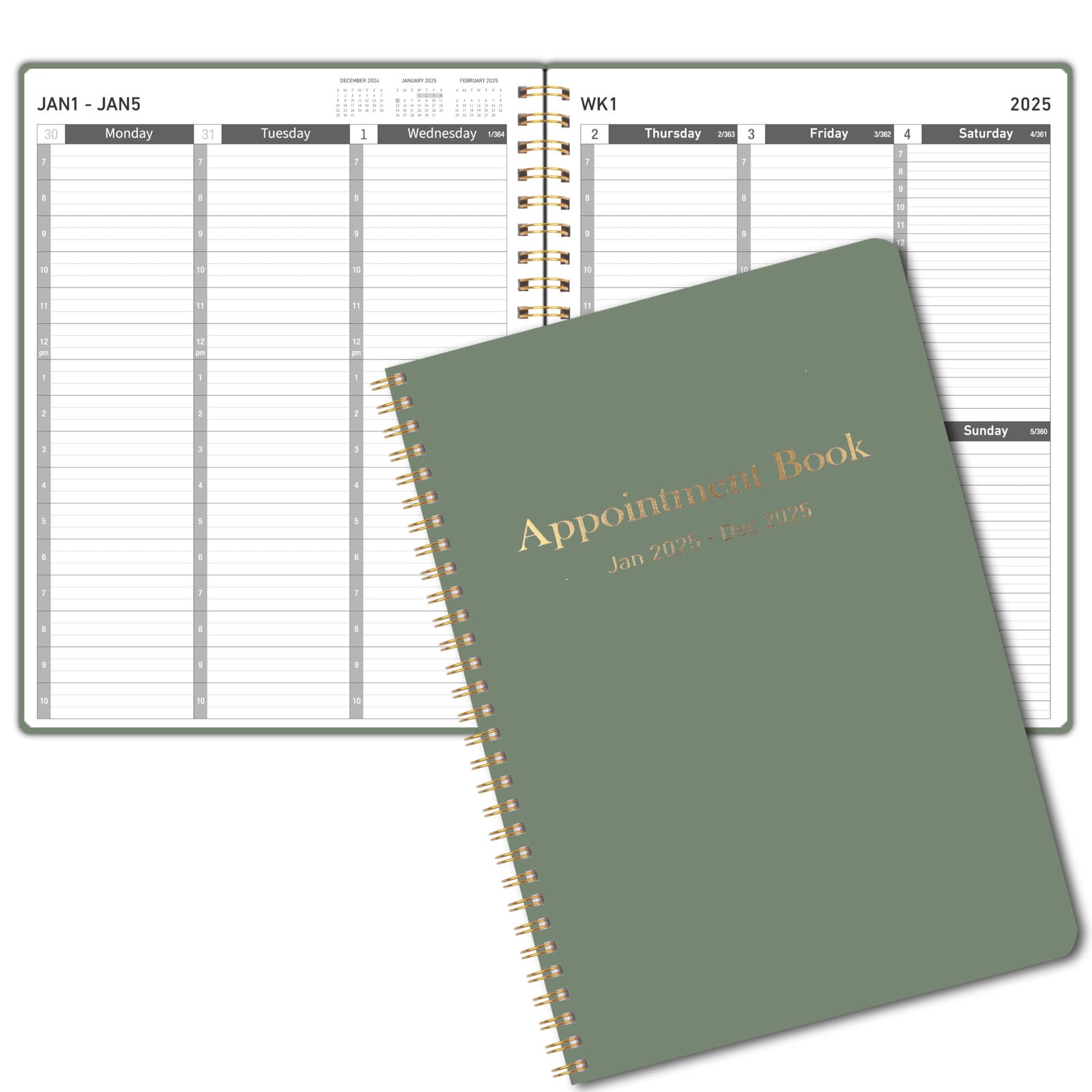 Appointment Book 2025 8.5