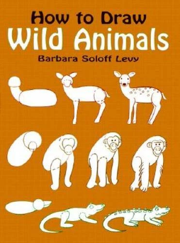 How to Draw Wild Animals (Learn to Draw) - Paperback - GOOD