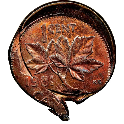 1981 Canada 1 Cent NGC Graded MS 62 RB. Struck off center- Error