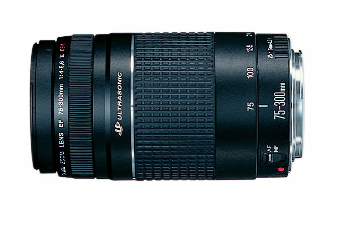 Canon EF 75-300mm f/4-5.6 III USM Telephoto Zoom Lens for Canon
