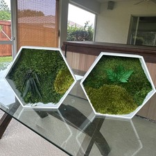 New Set Of 2 Preserved Moss Hanging Hexagon W...
