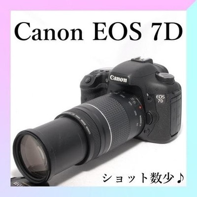 Canon EOS 7D DSLR Camera Super Telephoto Set Low Shutter Count Fast Shooting