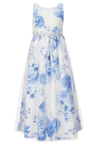 Blue Gorgeous Big Girl's Sparkling Overlay Floral Print Fanciful Dress-12 or 14 - Afbeelding 1 van 5