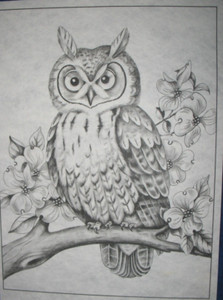 * TRI CHEM 8318 OWL ON A LIMB TREE WITH FLOWERS BIRD WATCHER Picture TRICHEM 912