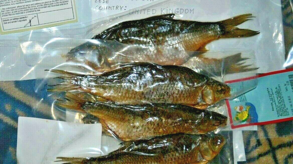 Fish Snack To Beer Plotva 450 G 1 Pound Ebay