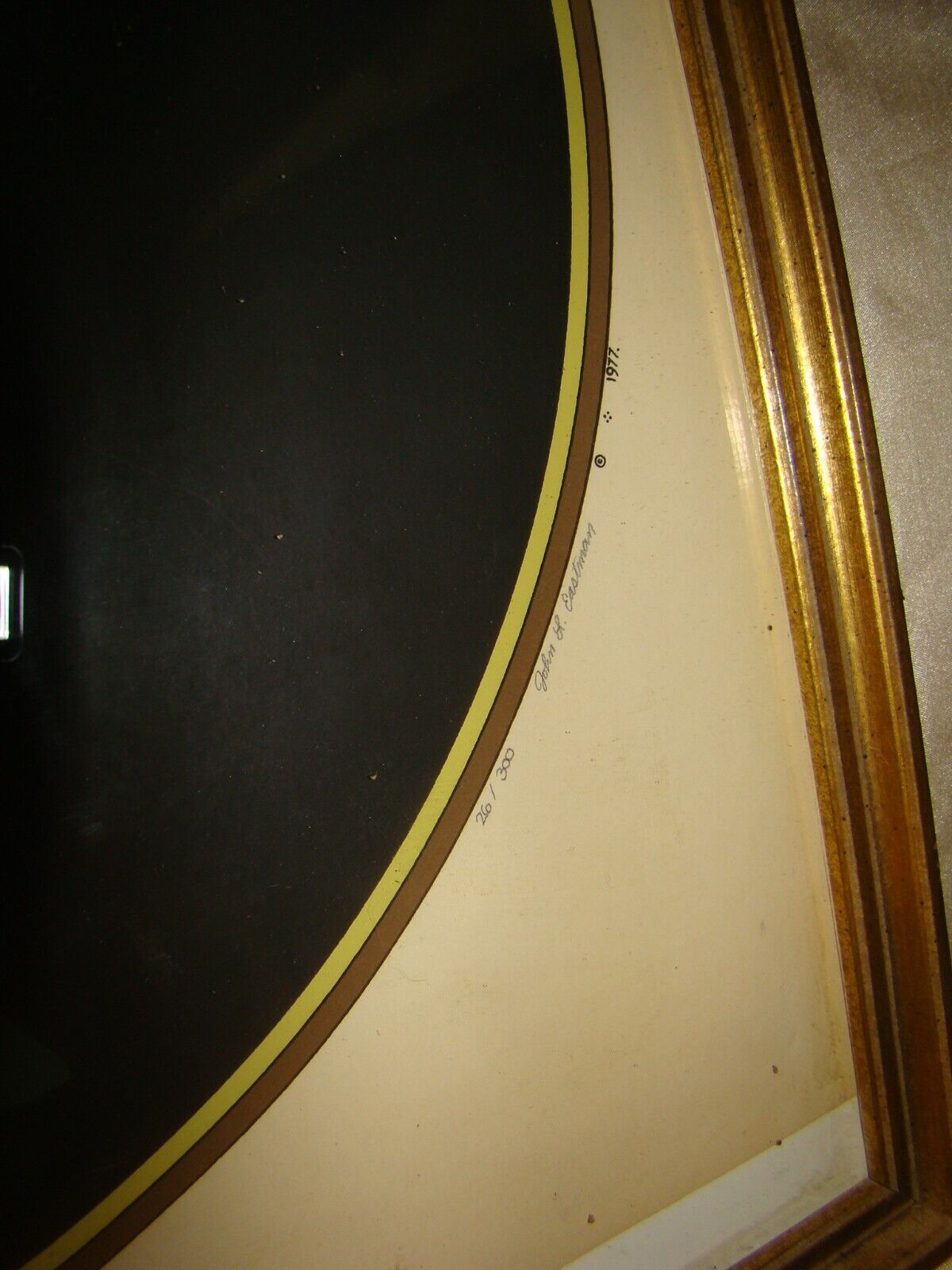 Picture 5 of 5