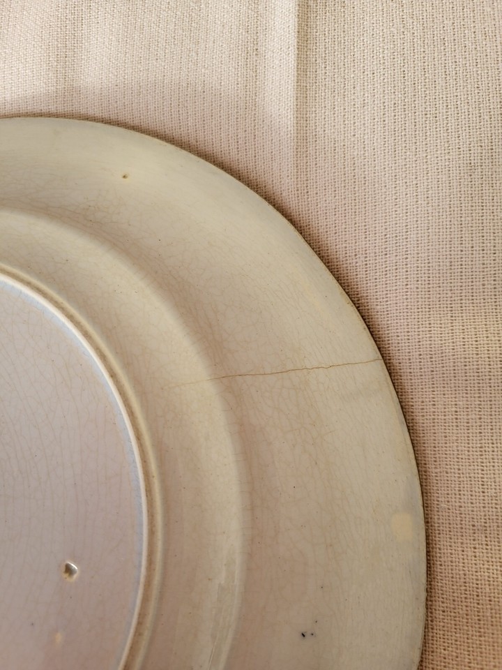 Antique Ridgway/Wedgewood Noma 4317 Pattern 1850s Plate