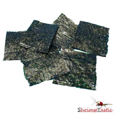ShrimpTastic Algen Blätter für Garnelen, Krebse und Schnecken / Futter / 6 Stück