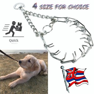 metal prong dog training collar