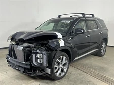 Driver Left Air Bag Driver Roof Fits 20-24 PALISADE 2787280