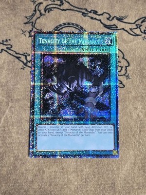 Yugioh Tenacity of the Monarchs MP25-EN025 2025 1st Edition Starlight Rare NM 