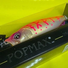 Megabass Pop Max Limited Edition (SP-C) Sakura Coach from japan
