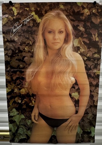 Charlene Tilton Poster Topless 1979 Dallas 32”x 21.5” Vintage Pinup Man Cave