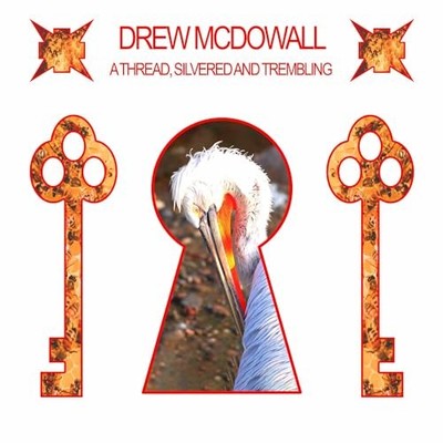 DREW MCDOWALL - A THREAD SILVERED AND TREMBLING - Vinyl Record 12 INCH  - G3z