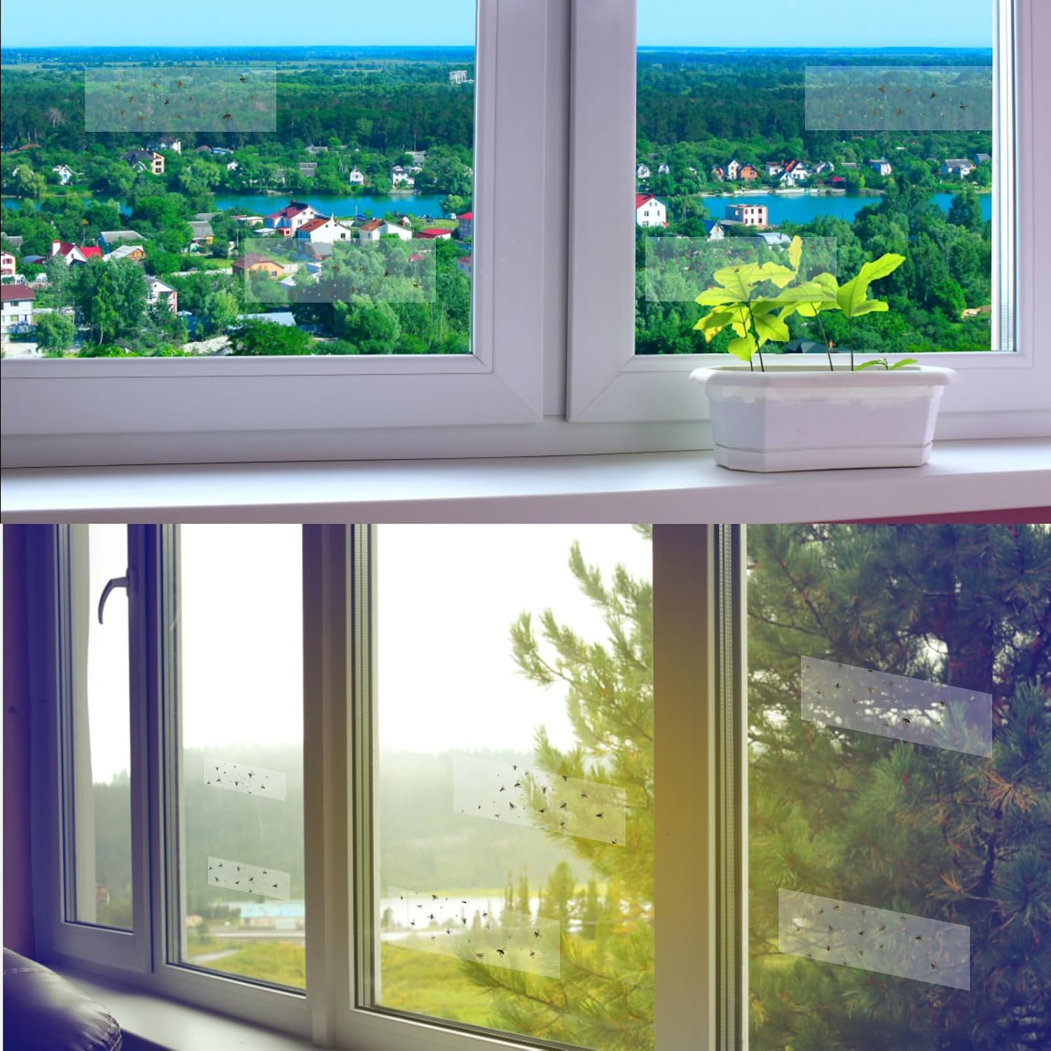 Window Fly Trap Indoor 30 Pack Sticky Fly Traps for Indoors, Fly Catchers for in