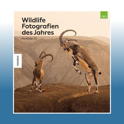 Wildlife Fotografien des Jahres - Portfolio 33 | Natural History... | Ungelesen