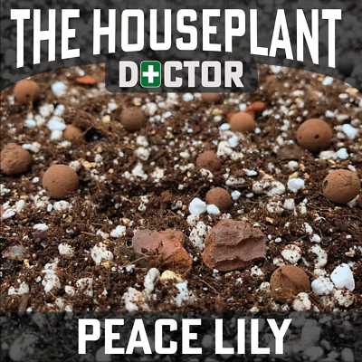 THE HOUSEPLANT DOCTOR™ PEACE LILY Repotting Soil Mix (Pest-Free Spathiphyllum Lilies, Potting Compost)