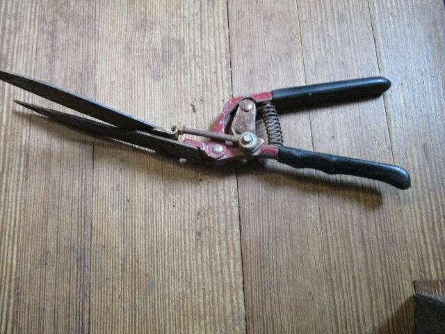 Antique clearance grass clippers
