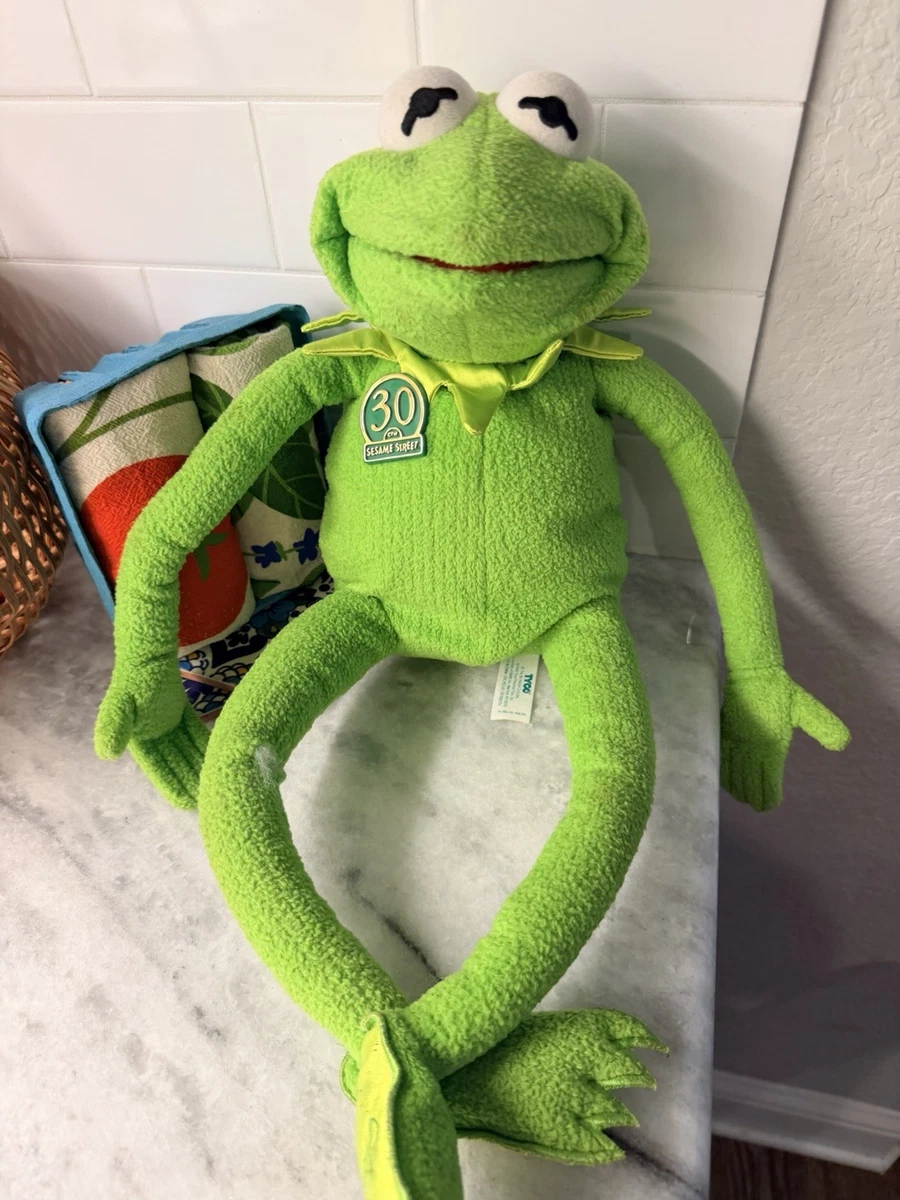 Kermit the Frog Sesame Street Cartoon & TV Character Action Figure