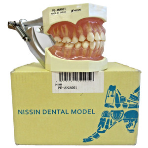 Nissin Dental | eBay